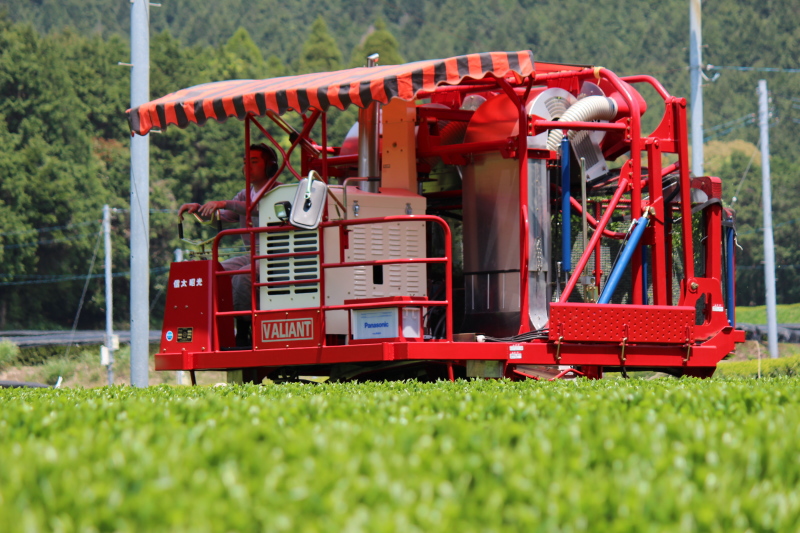 茶摘採機