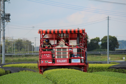 乗用型茶摘採機